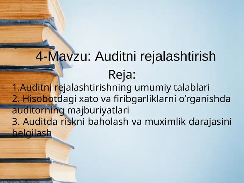 Auditni rejalashtirish