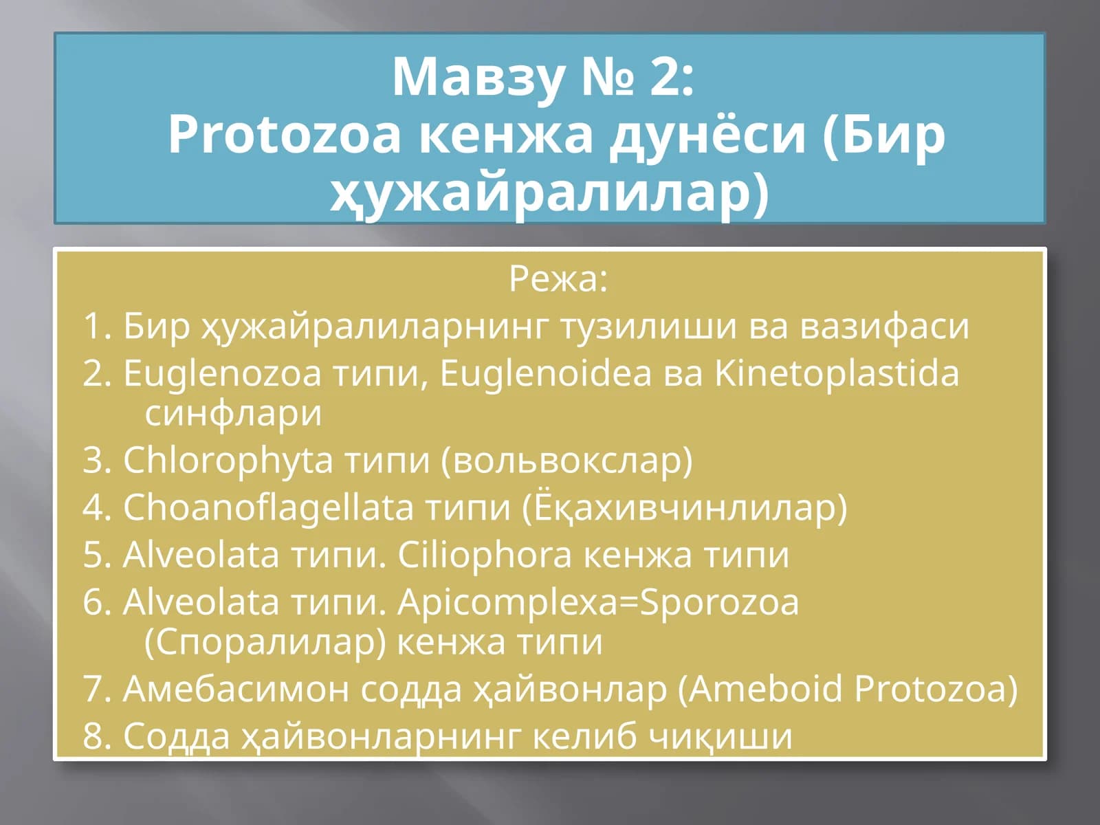 Protozoa кенжа дунёси (Бир ҳужайралилар)