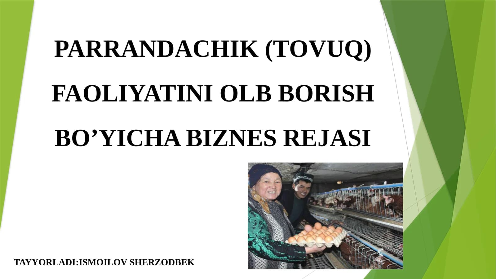 PARRANDACHIK (TOVUQ) FAOLIYATINI OLB BORISH BO’YICHA BIZNES REJASI