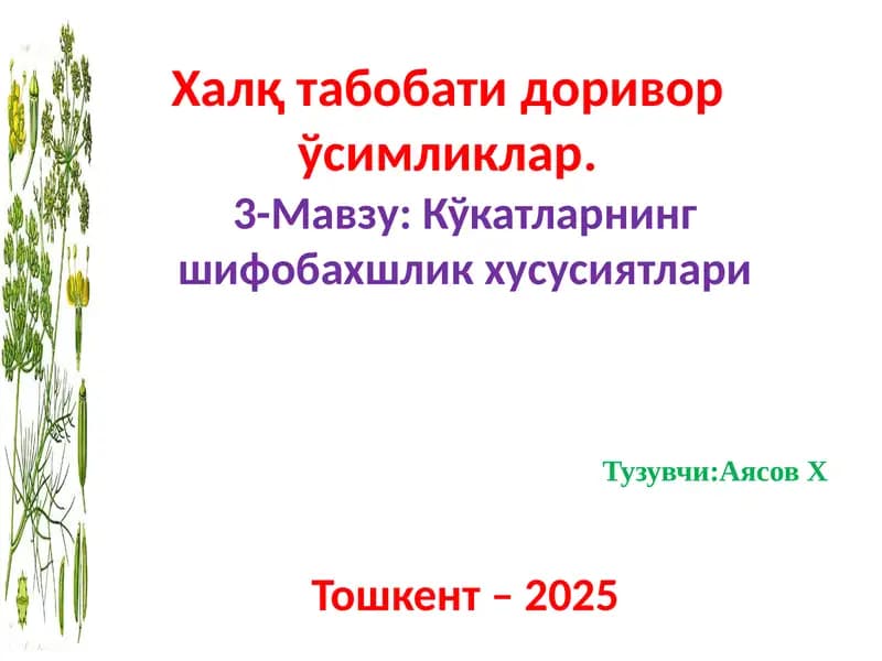 Гулбандли кийикўти (Ziziphorapedicellatapazij&vved.)