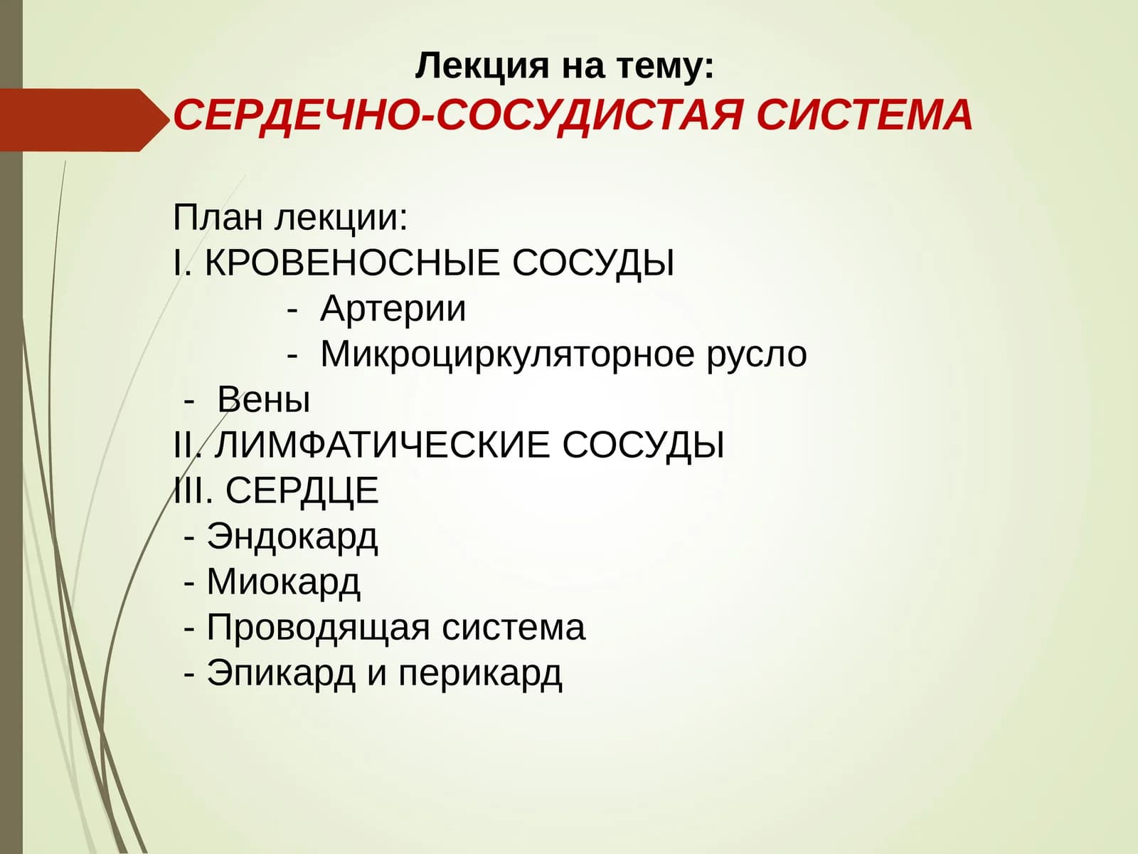 СЕРДЕЧНО-СОСУДИСТАЯ СИСТЕМА