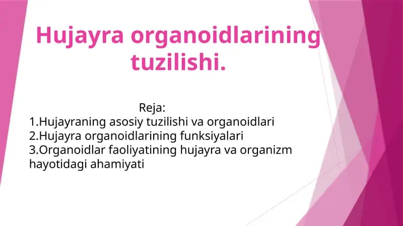 Hujayra Organoidlarining Tuzilishi
