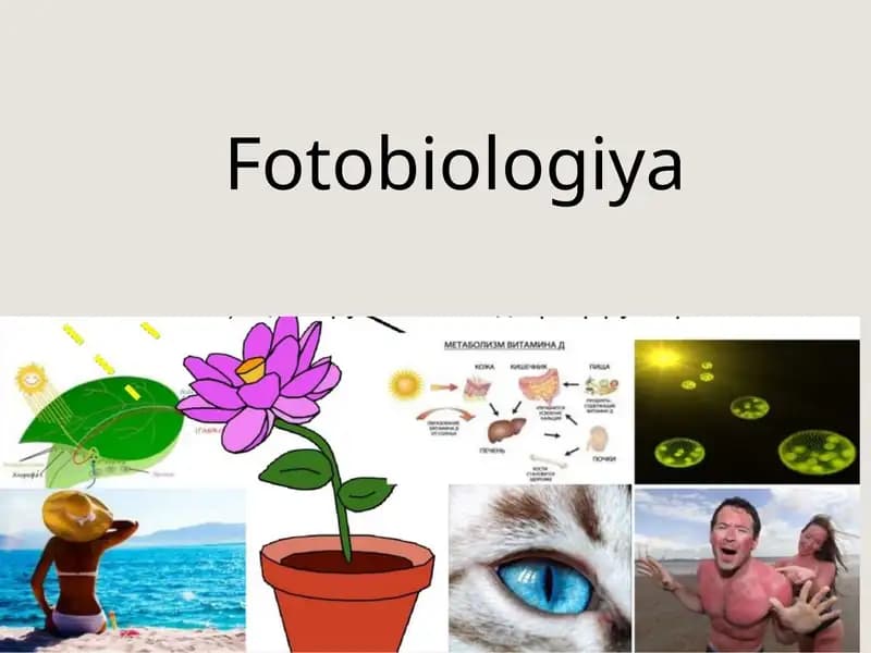 Fotobiologiya