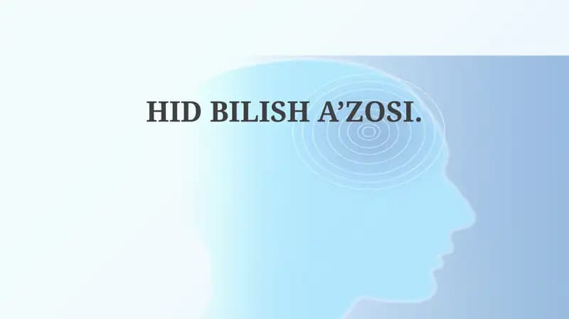 Ta'm Bilish Organining Tuzilishi va Fiziologiyasi