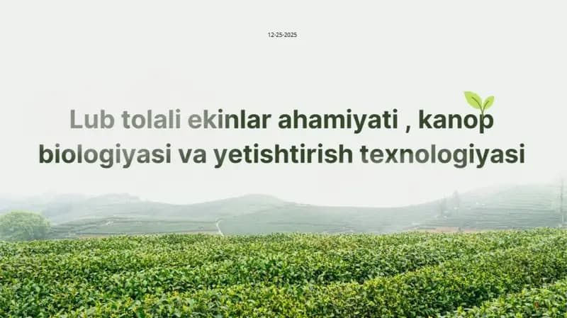 Lub tolali ekinlar ahamiyati, kanop biologiyasi va yetishtirish texnologiyasi