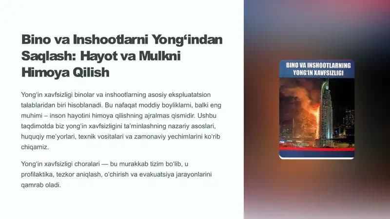 BINO VAINSHOOTLARNING YONG'IN XAVFSIZLIGI