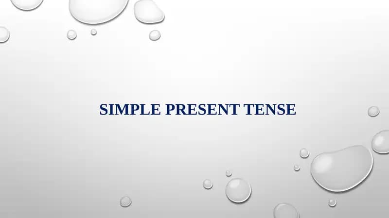 Simple Present Tense