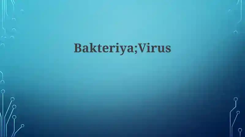 Bakteriyalar va Viruslar