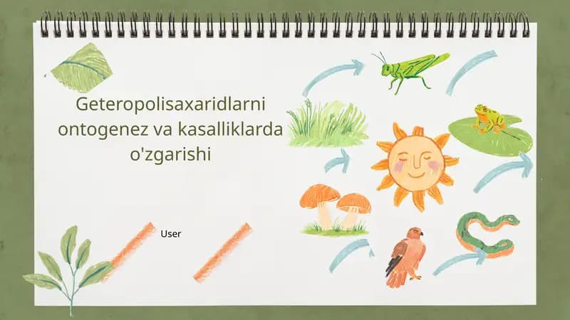 Geteropolisaxaridlarni ontogenez va kasalliklardagi oʻrni