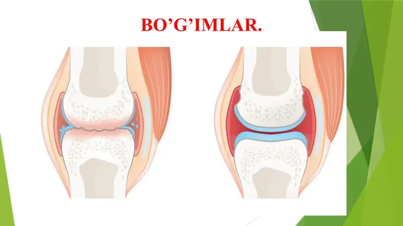 Bo'g'imlar