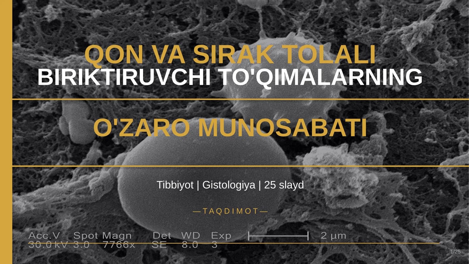 QON VA SIRAK TOLALI BIRIKTIRUVCHI TO'QIMALARNING O'ZARO MUNOSABATI