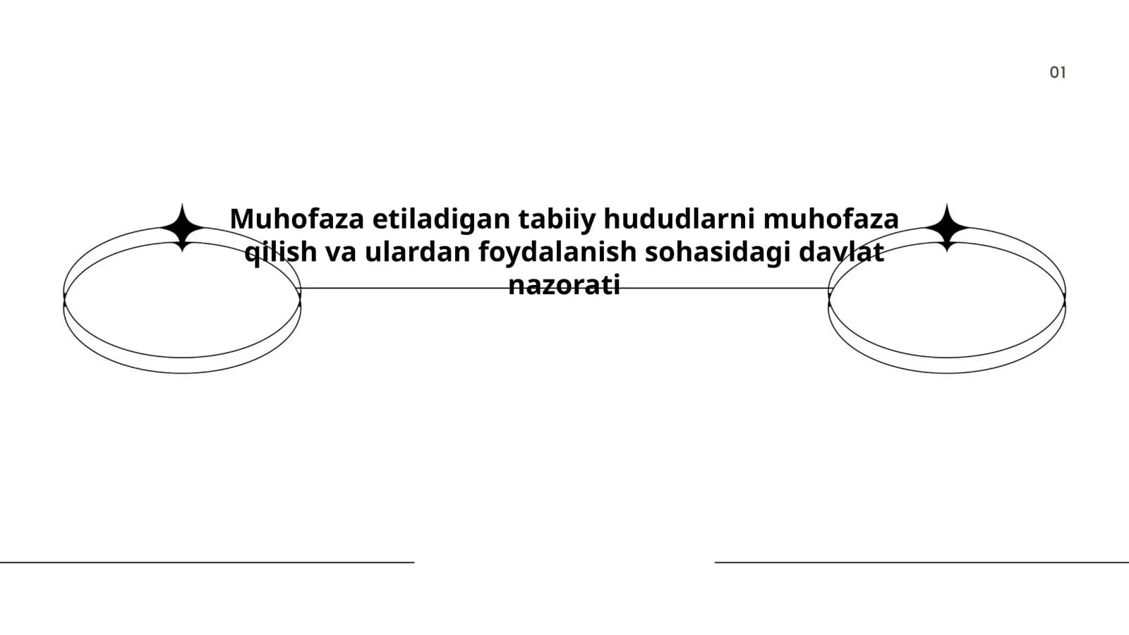Muhofaza etiladigan tabiiy hududlarni muhofaza qilish va ulardan foydalanish sohasidagi davlat nazorati