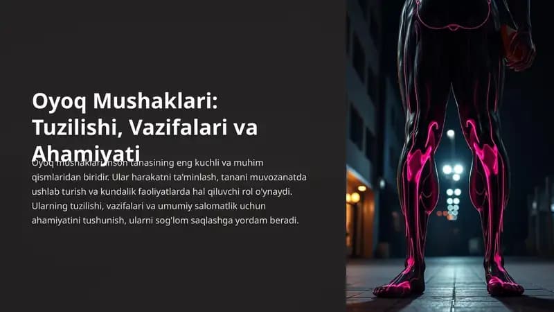 Oyoq mushaklari