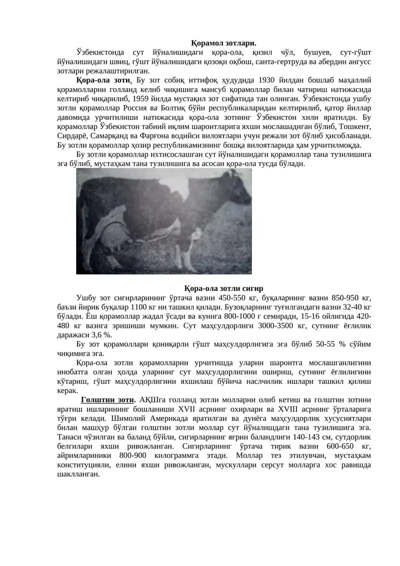 Қорамол зотлари