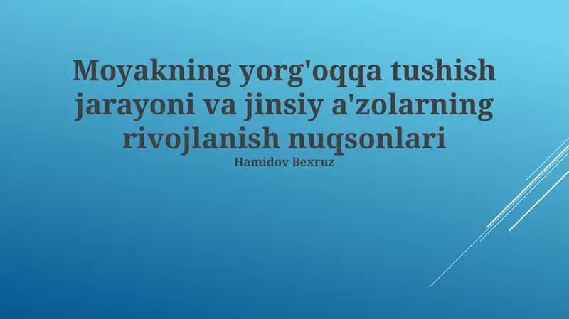 Moyakning yorg'oqqa tushish jarayoni va jinsiy a'zolarning rivojlanish nuqsonlari