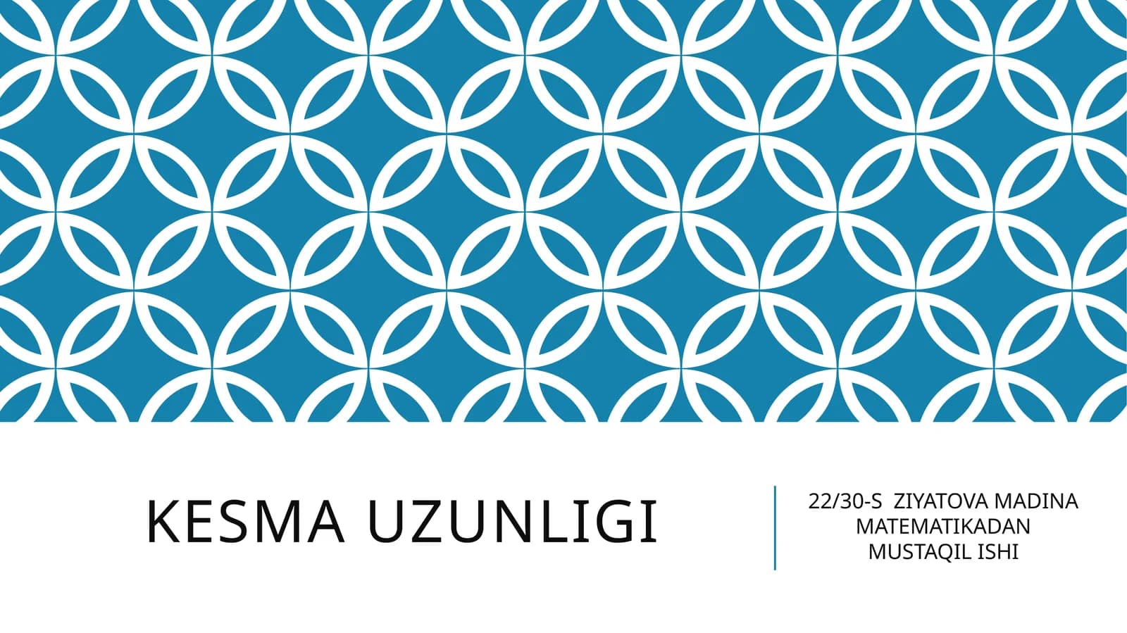 22/30-S ZIYATOVA MADINA MATEMATIKADAN MUSTAQIL ISHI