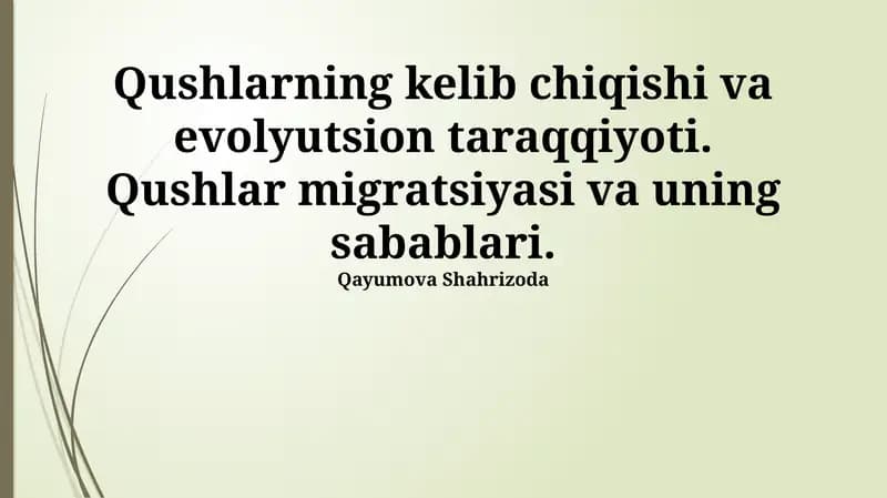 Qushlarning kelib chiqishi va evolyutsion taraqqiyoti