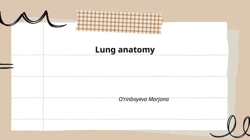 Lung anatomy