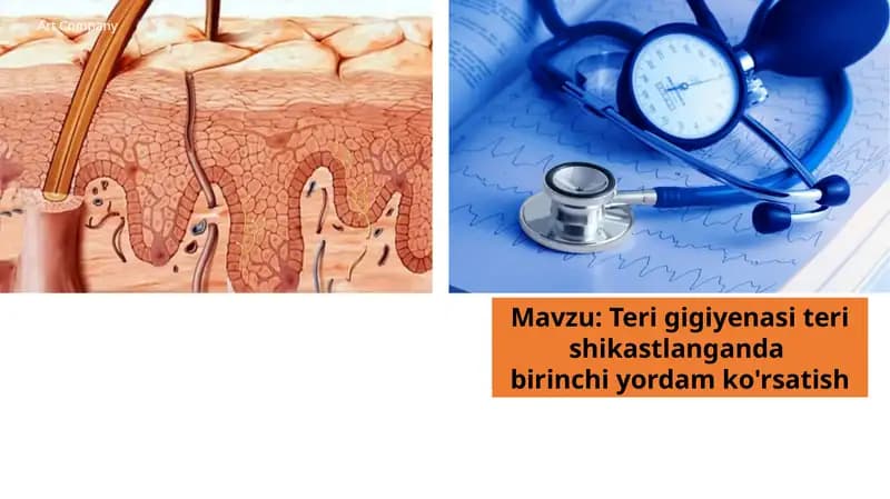 Terigigiyenasiterishikastlanganda birinchi yordam ko'rsatish