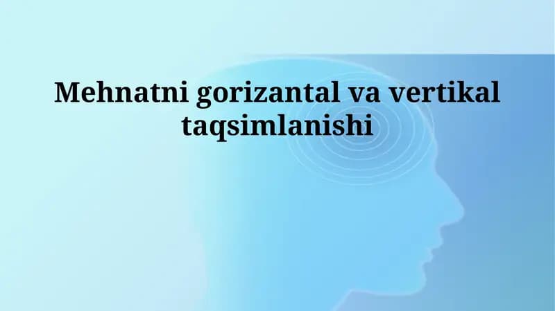 Mehnatni gorizantal va vertikal taqsimlanishi