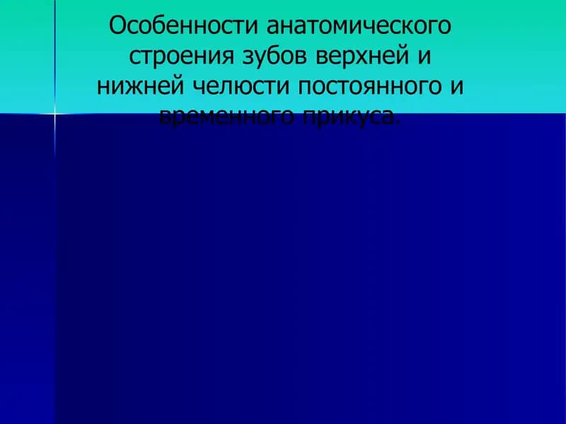 Особенности анатомического строения зубов