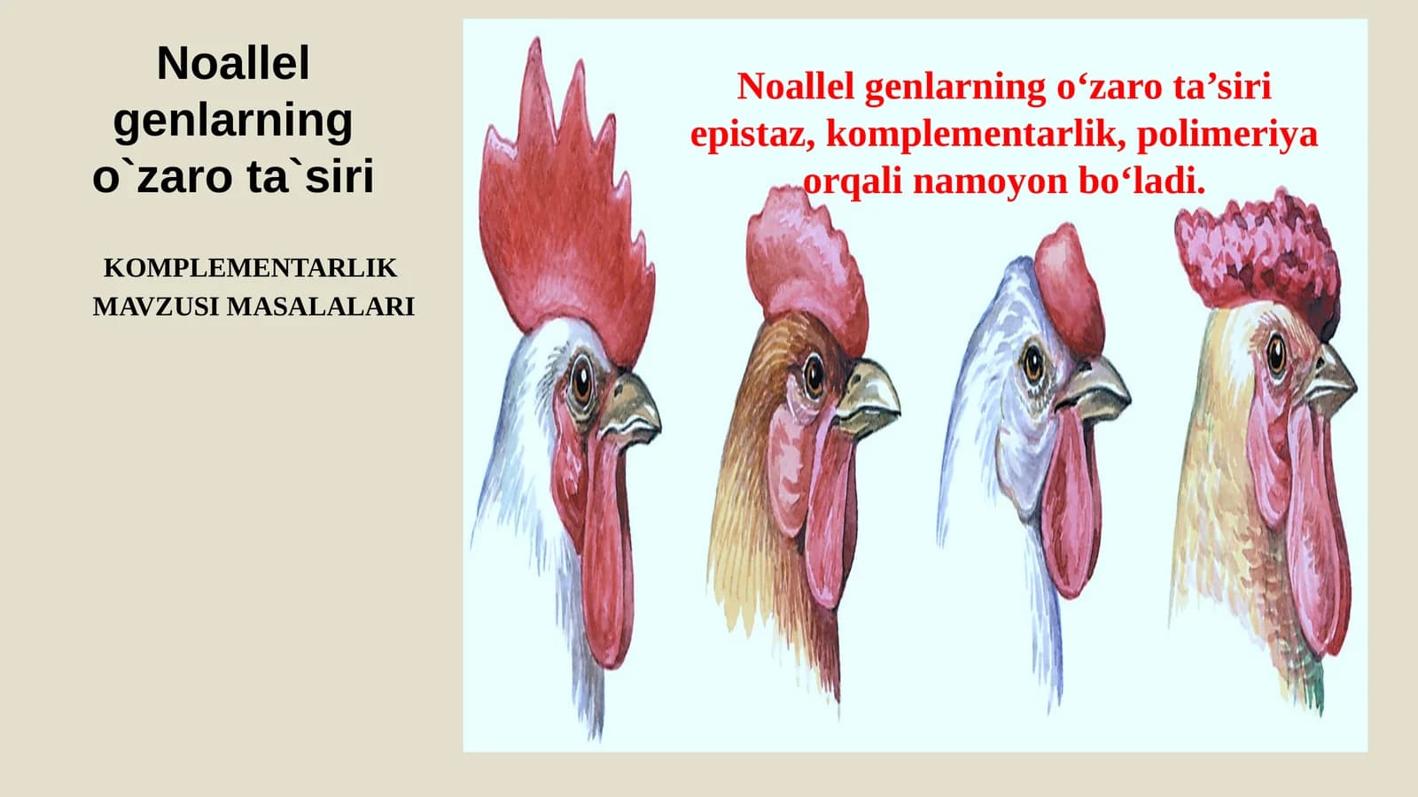 Komplementar ta`sirga oid masalalar