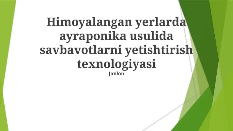 Aeroponika usulida savbavotlarni yetishtirish texnologiyasi