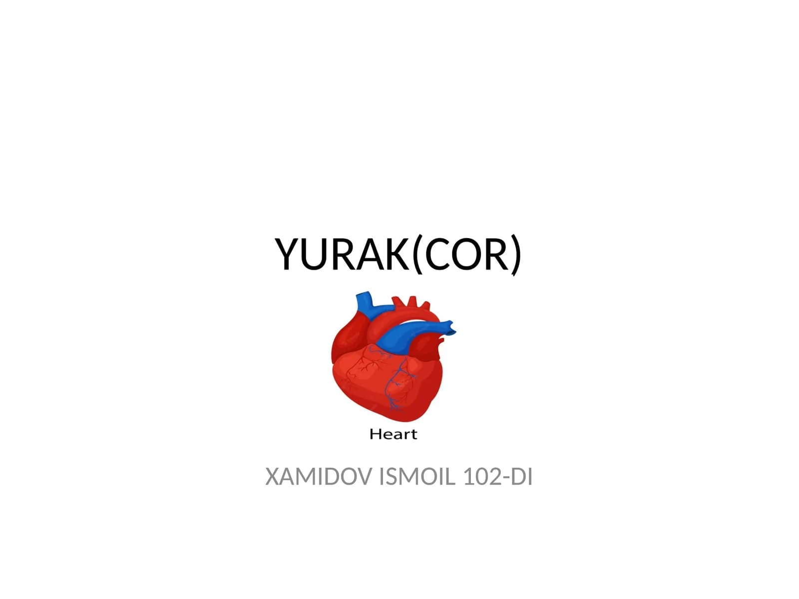 YURAK(COR)
