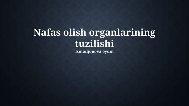 Nafas olish organlarining tuzilishi