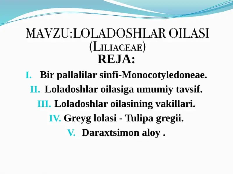 Loladoshlar oilasi (Liliaceae)