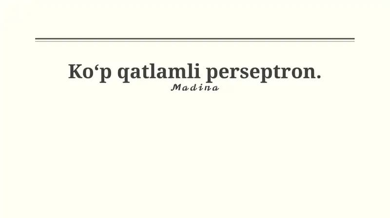 Ko'p Qavatli Perseptron