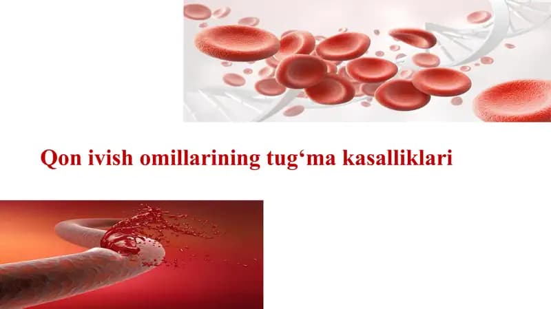 taqdimot
