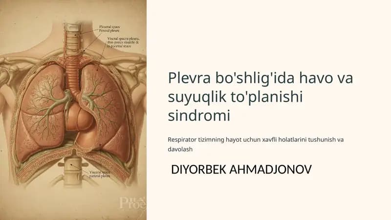 Plevra bo'shlig'ida havo va suyuqlik to'planishi sindromi
