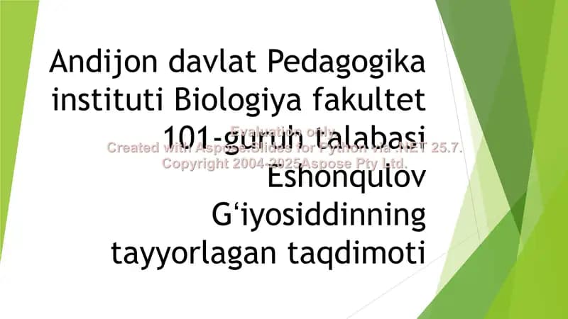 Eshonqulov Gʻiyosiddinning talabasi taqdimoti