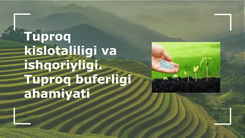 Tuproq kislotaliligi va ishqoriyligi. Tuproq buferligi ahamiyati