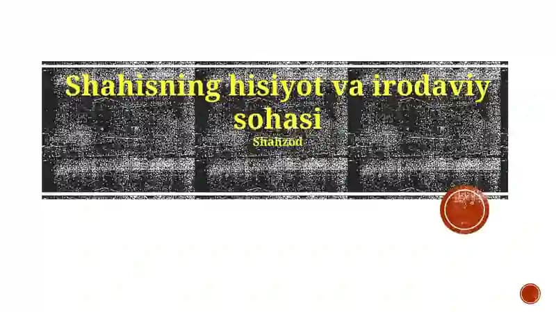 Shahisning hisiyot va irodaviy sohasi