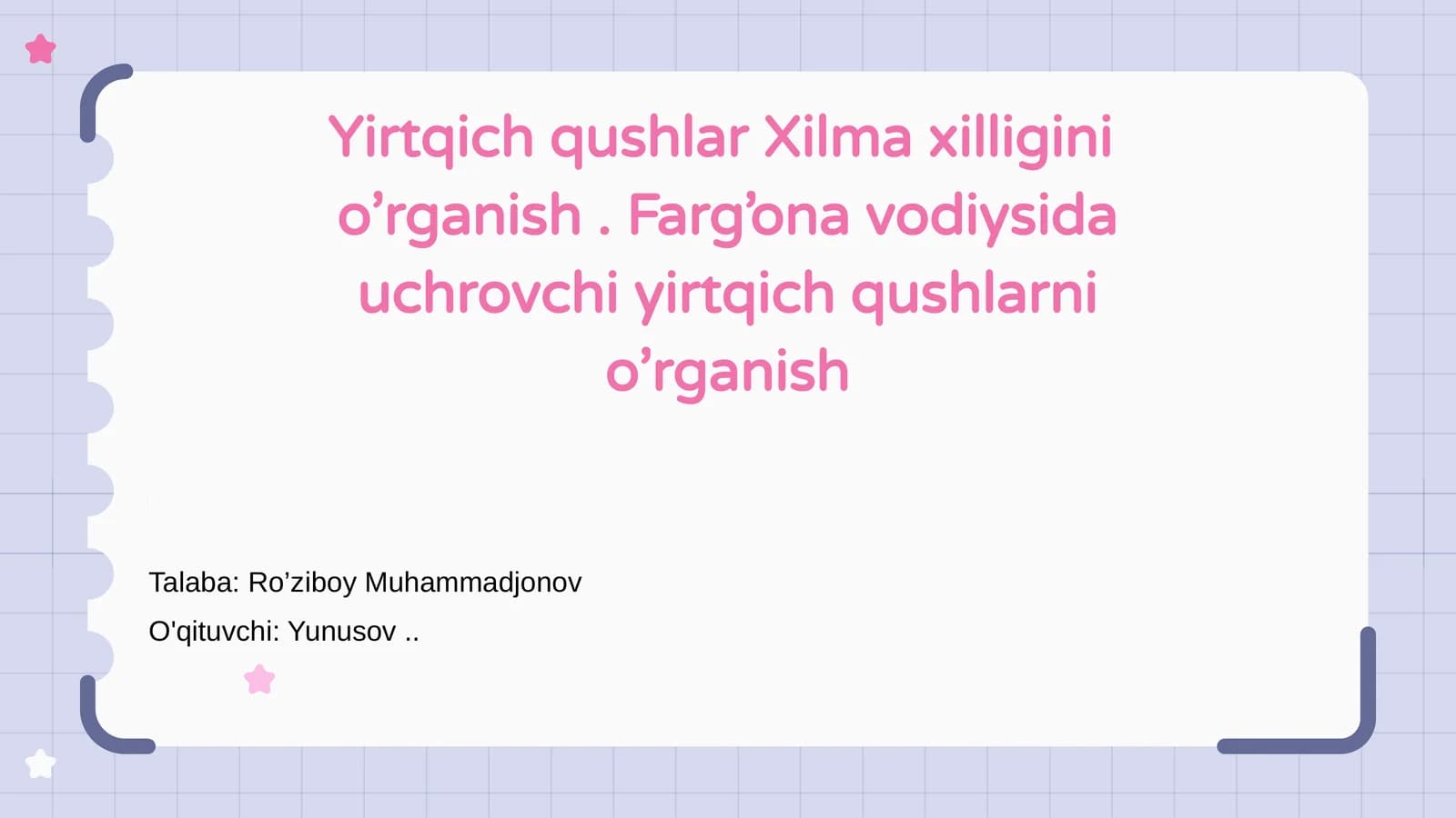 Yirtqich Qushlar Xilma Xilligi Nima?