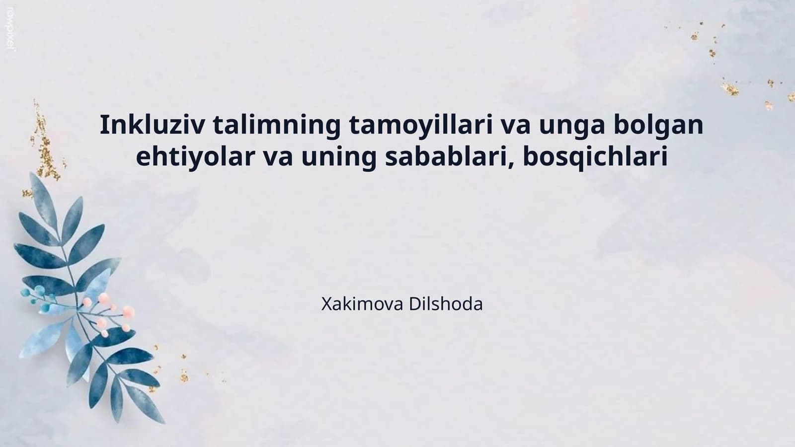 Inkluziv talimning tamoyillari va unga bolgan ehtiyolar va uning sabablari, bosqichlari