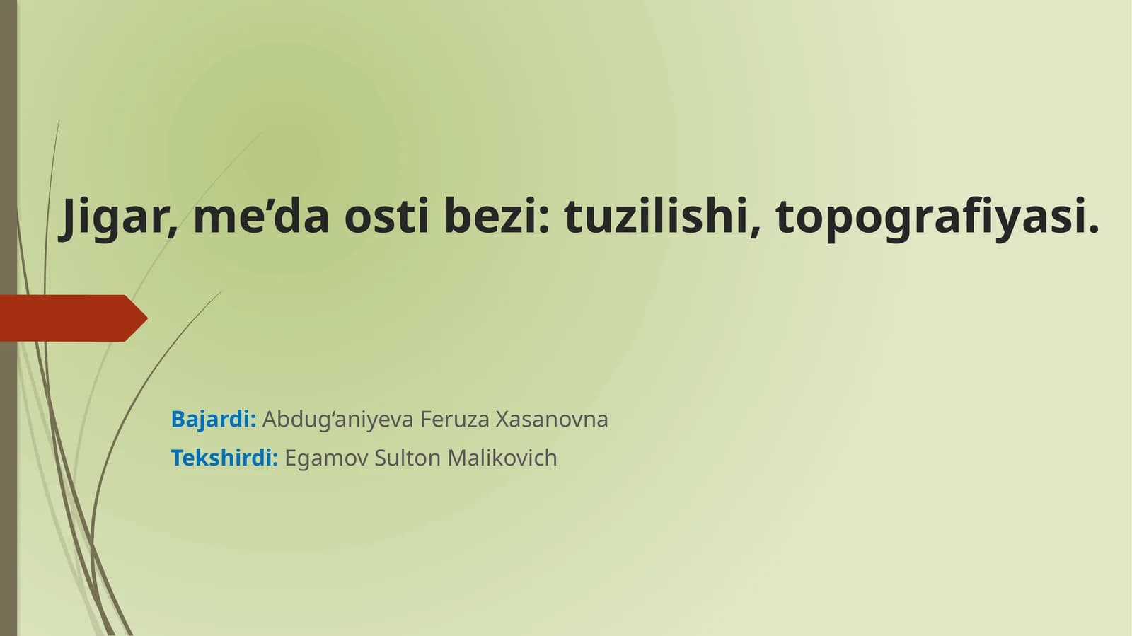 Jigar, me’da osti bezi: tuzilishi, topografiyasi