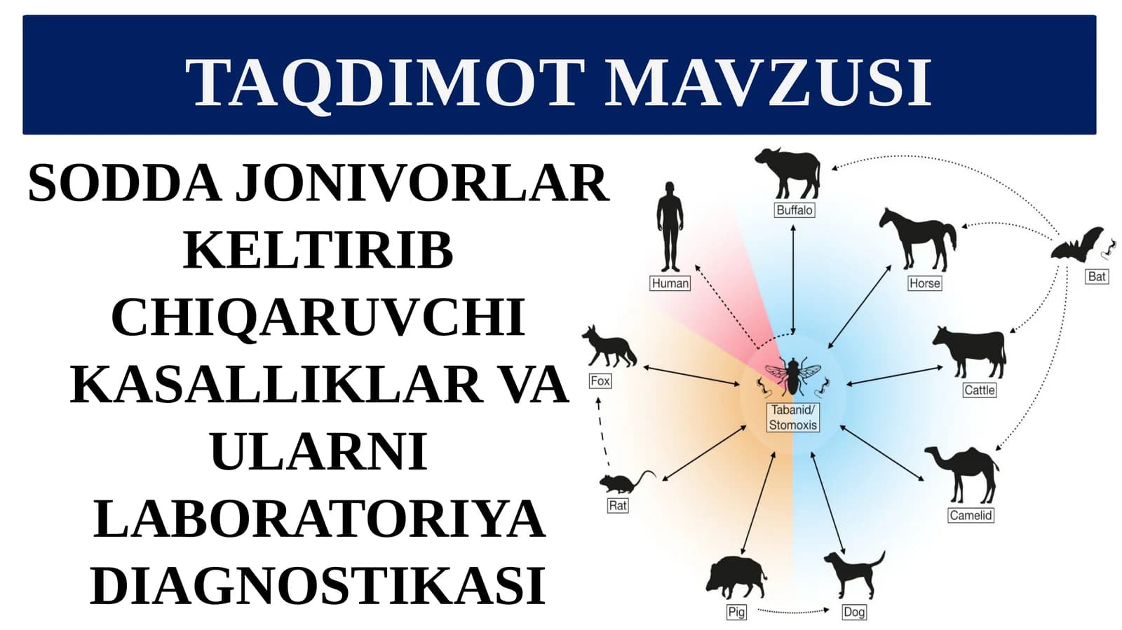 SODDA JONIVORLAR KELTIRIB CHIQARUVCHI KASALLIKLAR VA ULARNI LABORATORIYA DIAGNOSTIKASI