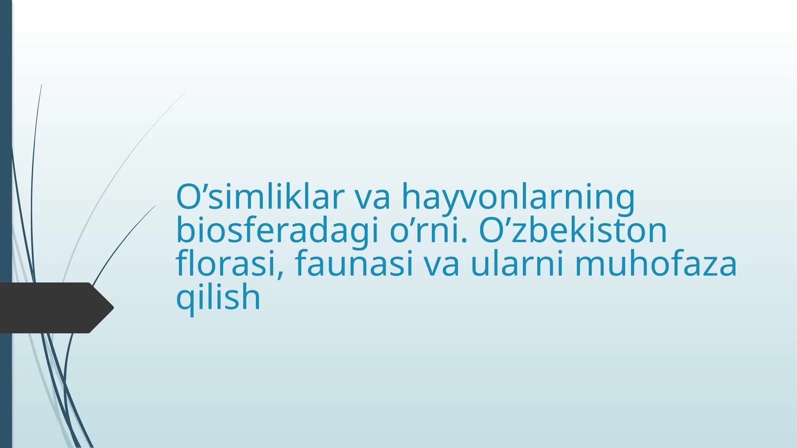 O’simliklarvahayvonlarningbiosferadagio’rni.O’zbekistonflorasi,faunasivaularnimuhofazaqilish