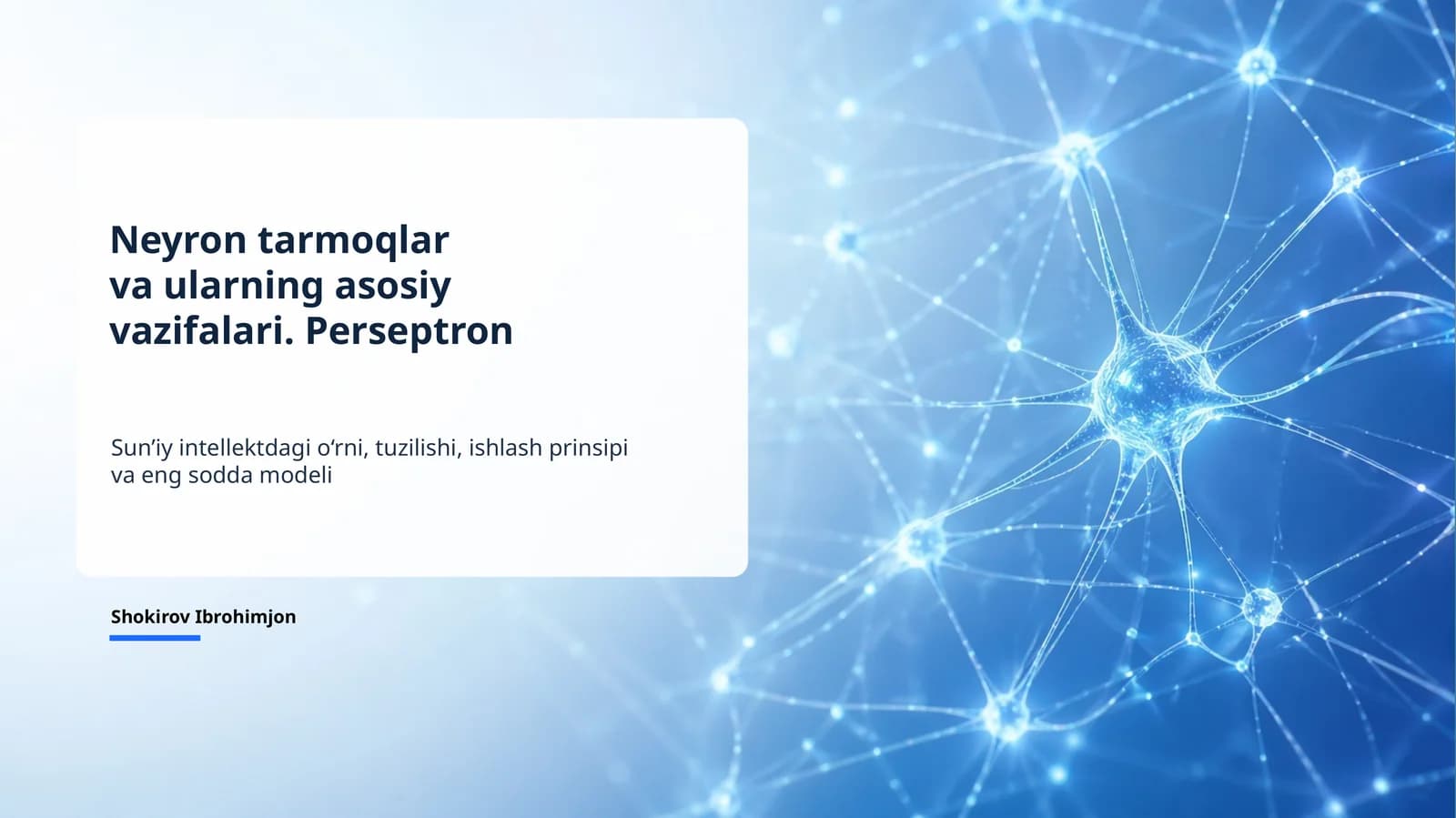 Neyron tarmoqlar va perseptron mustaqil ish