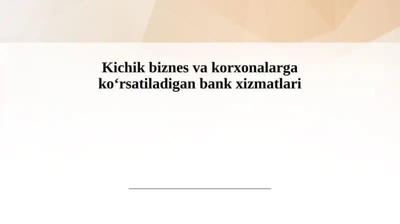 Kichik tadbirkorlik uchun moliyaviy resurslar va kredit olish imkoniyatlari