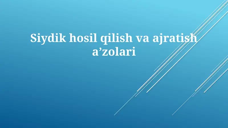 Siydikhosilqilish va ajratish jarayonlari