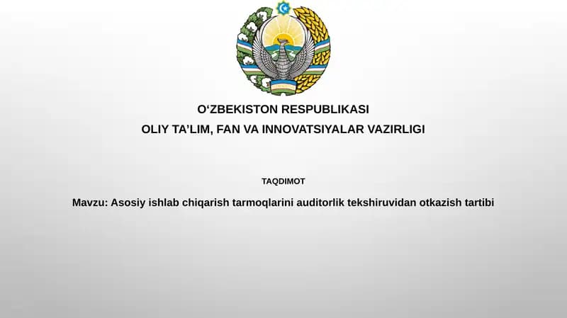 Asosiy ishlab chiqarish sektorlarini auditdan o'tkazish tartibi