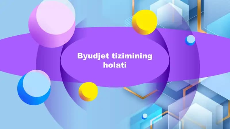 Byudjet tizimining holati