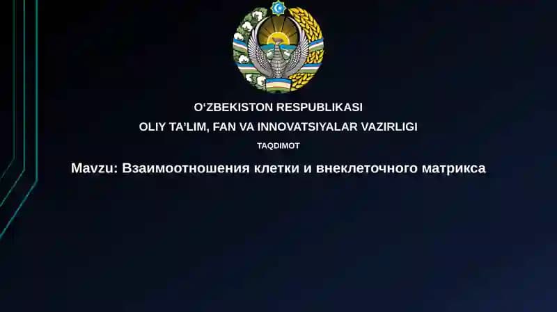 Взаимоотношения клетки и внеклеточного матрикса