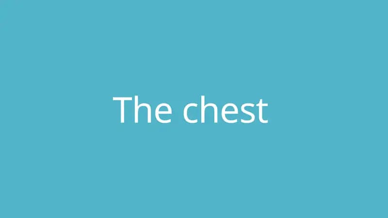 The chest