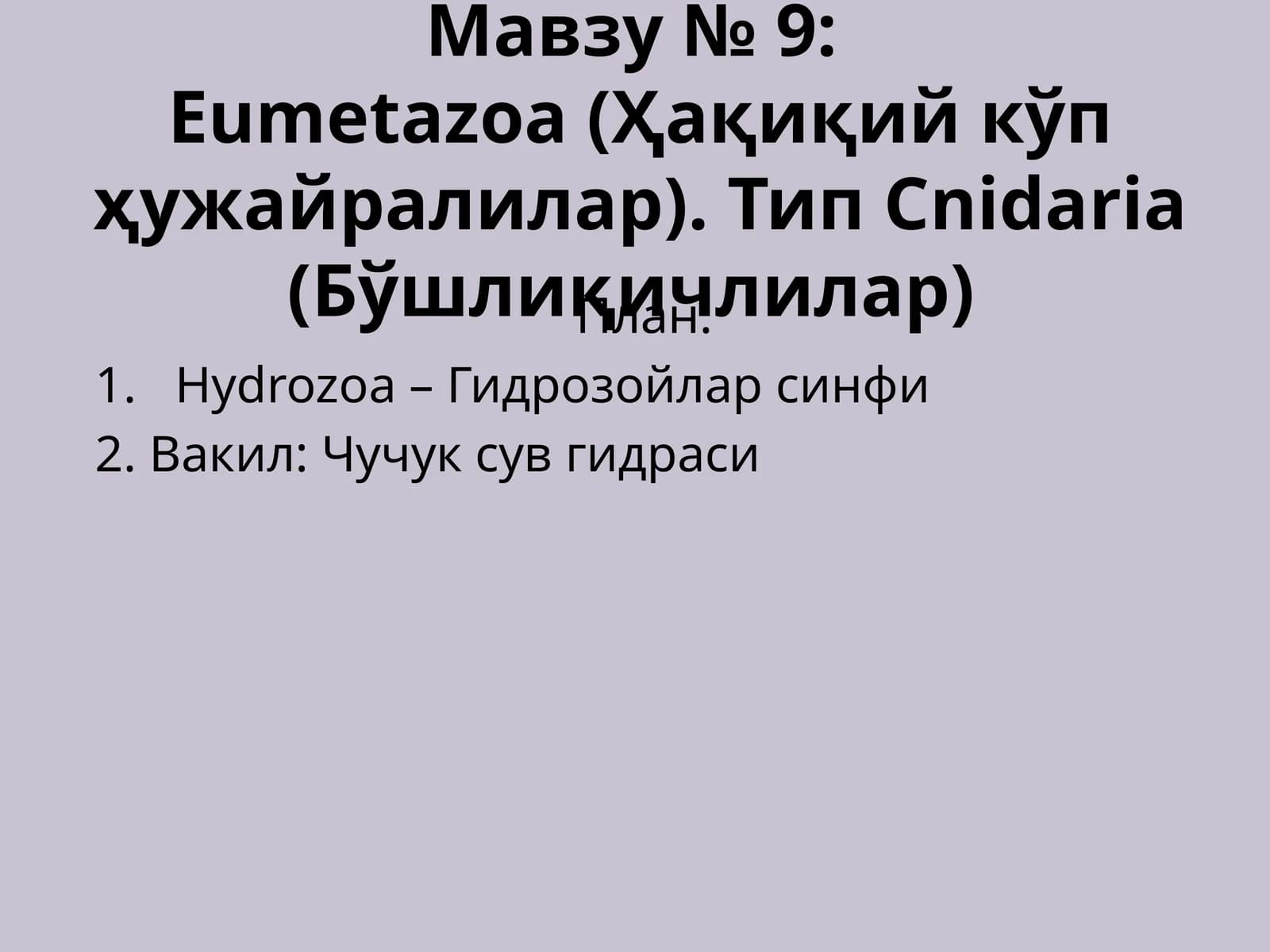 Eumetazoa (Ҳақиқий кўп ҳужайралилар). Тип Cnidaria (Бўшлиқичлилар)