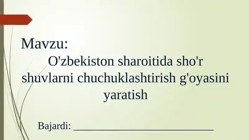 O'zbekiston sharoitida shoorshuvlarni chuchuklashtirish g'oyasi